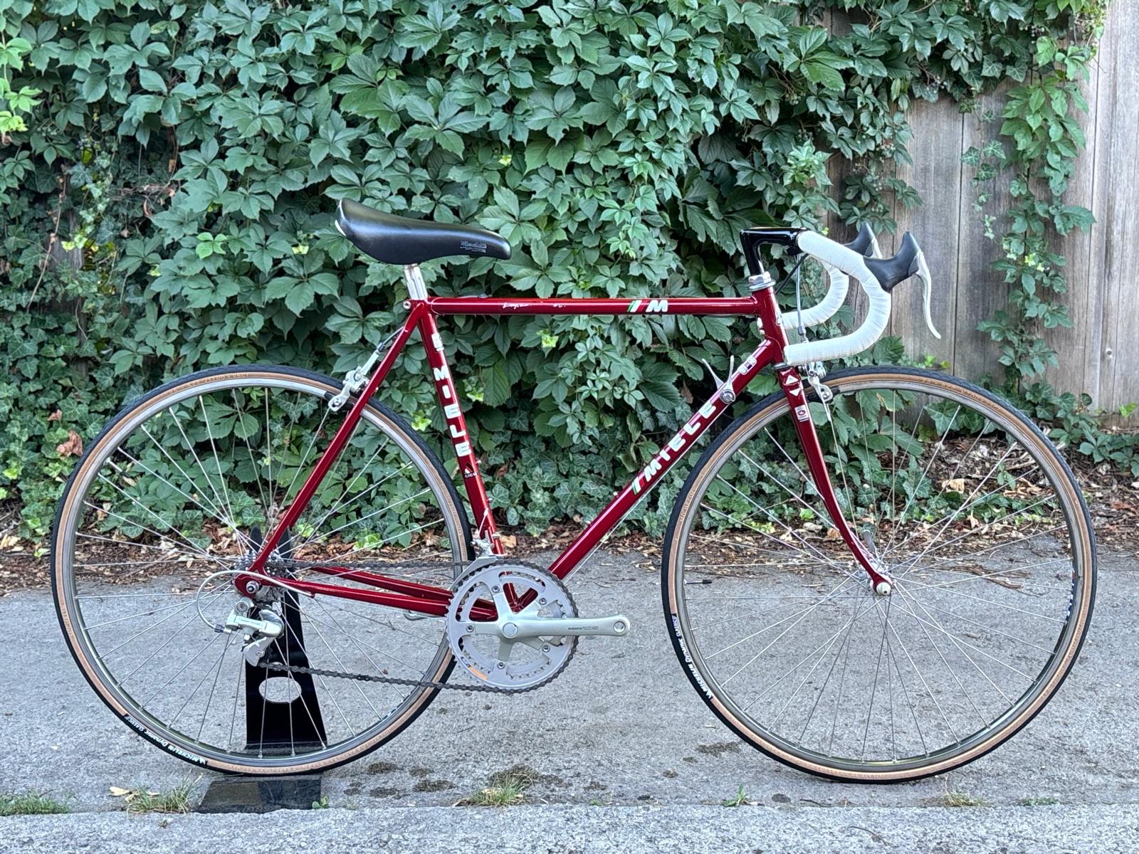 Miele Lupa
